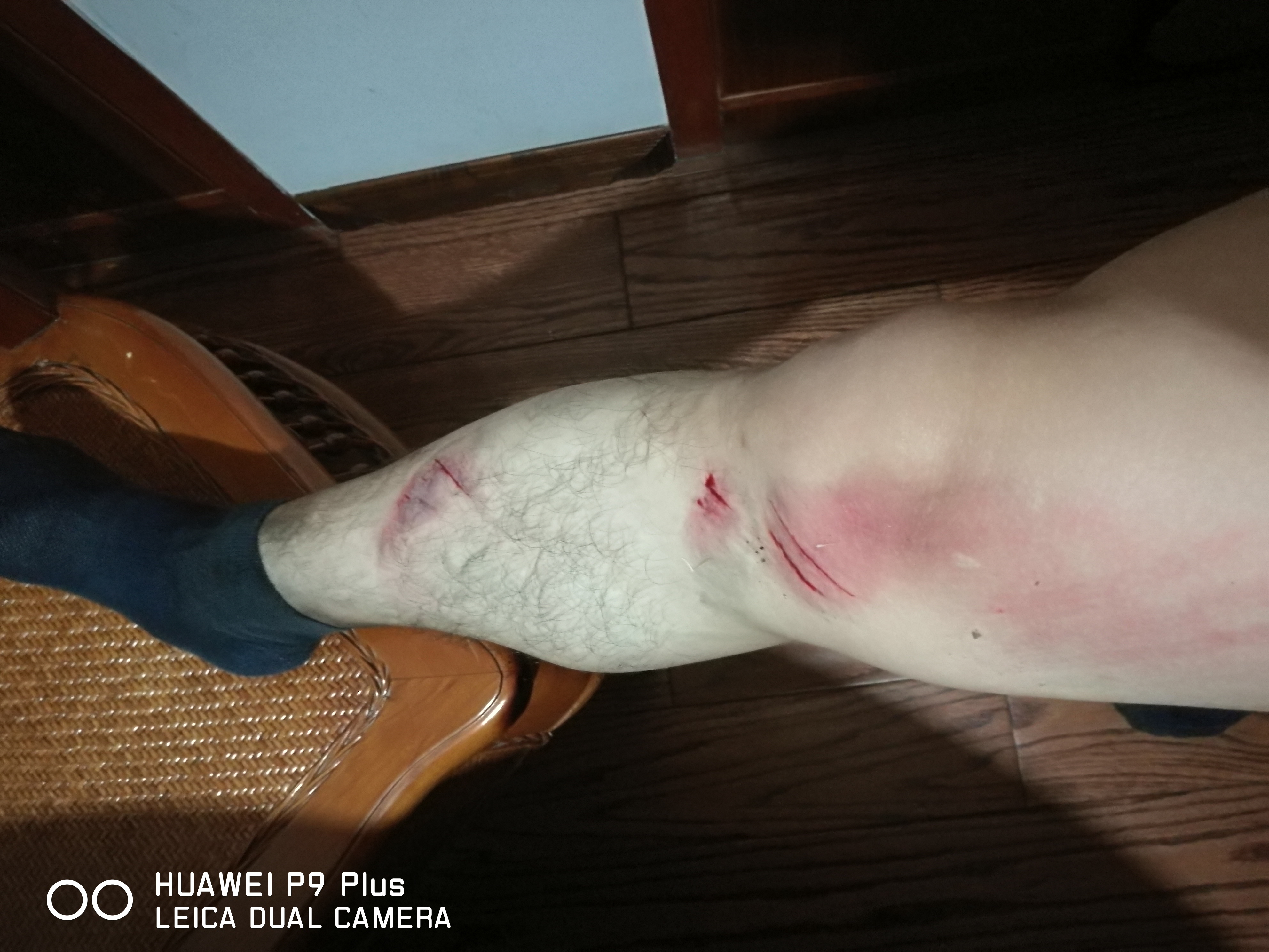 流汗还不够 - 泊山客 - 欢欢家庭博客