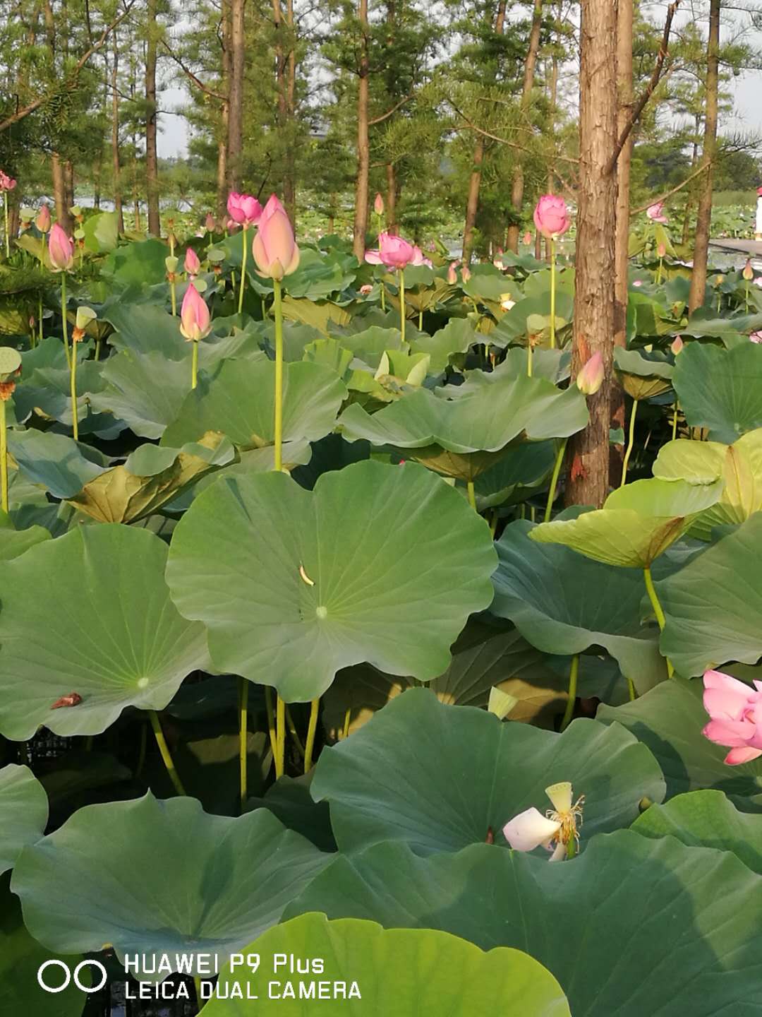 骑行，久违了的感觉 - 泊山客 - 欢欢家庭博客