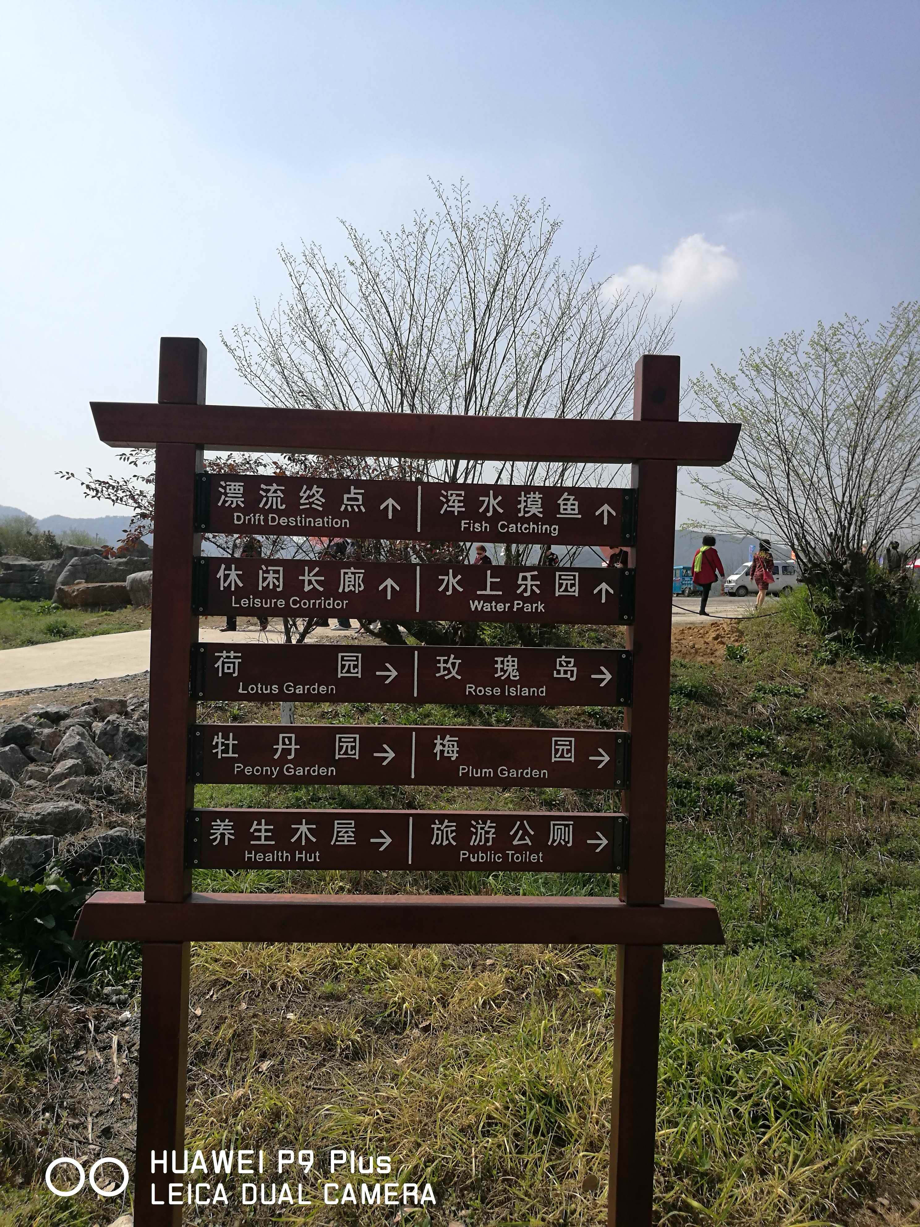 梧桐花谷 - 泊山客 - 欢欢家庭博客