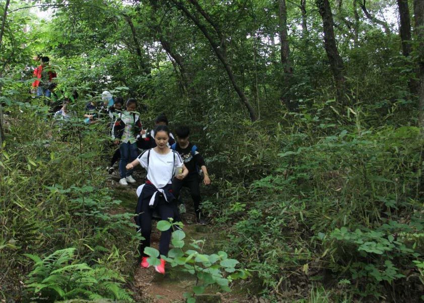 迟来的春游 - 泊山客 - 欢欢家庭博客