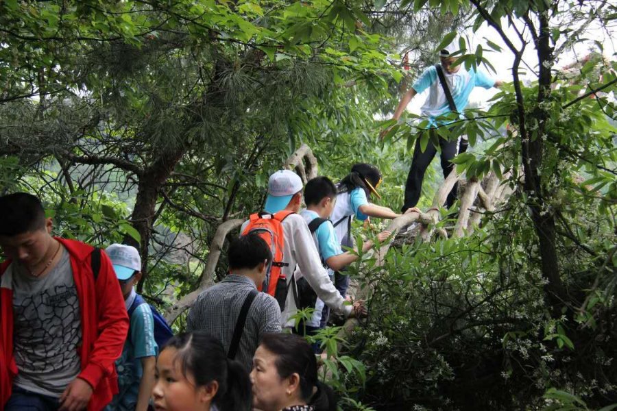 迟来的春游 - 泊山客 - 欢欢家庭博客