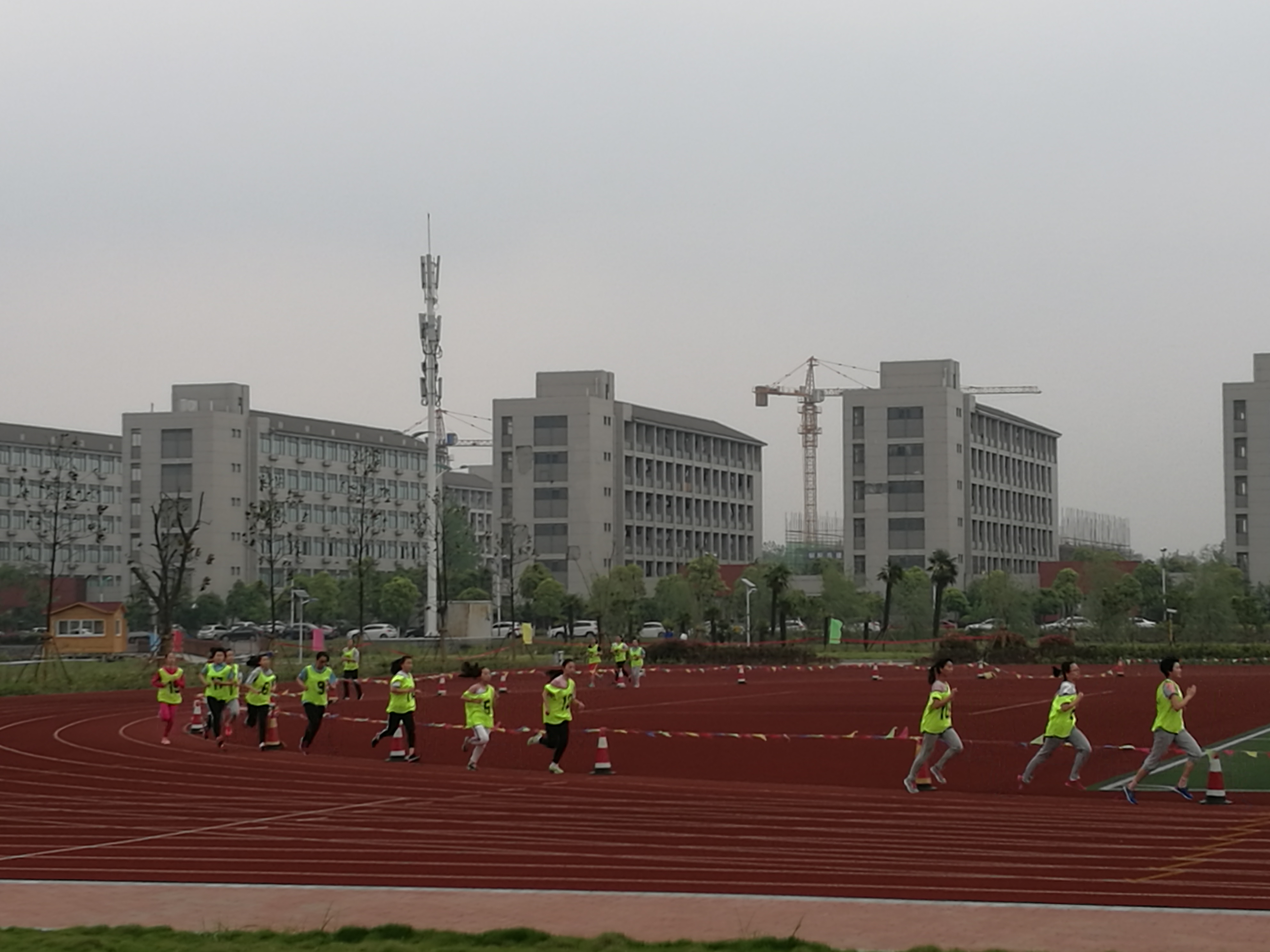 11号 - 泊山客 - 欢欢家庭博客
