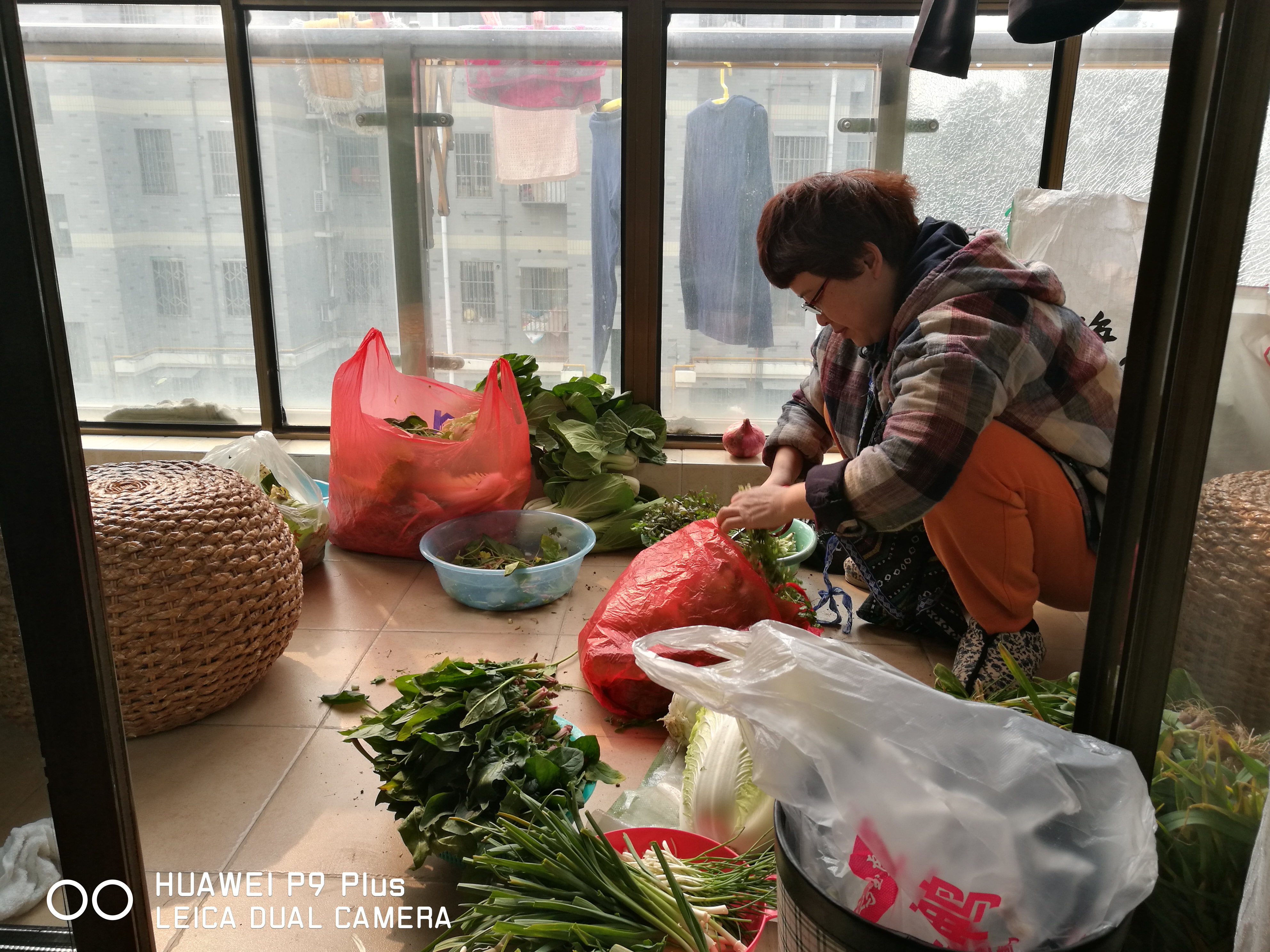 年味 - 泊山客 - 欢欢家庭博客