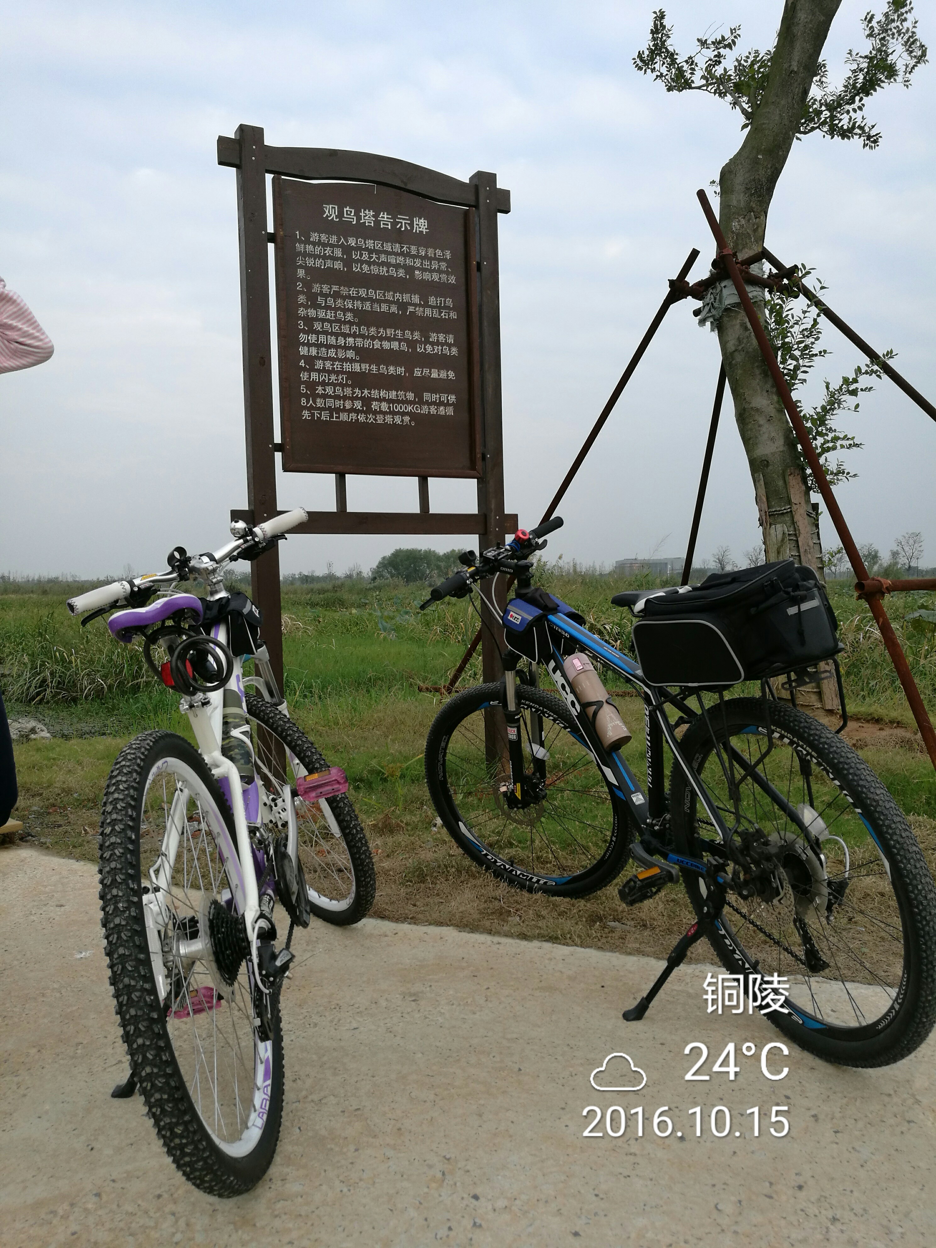 第三摔 - 泊山客 - 欢欢家庭博客