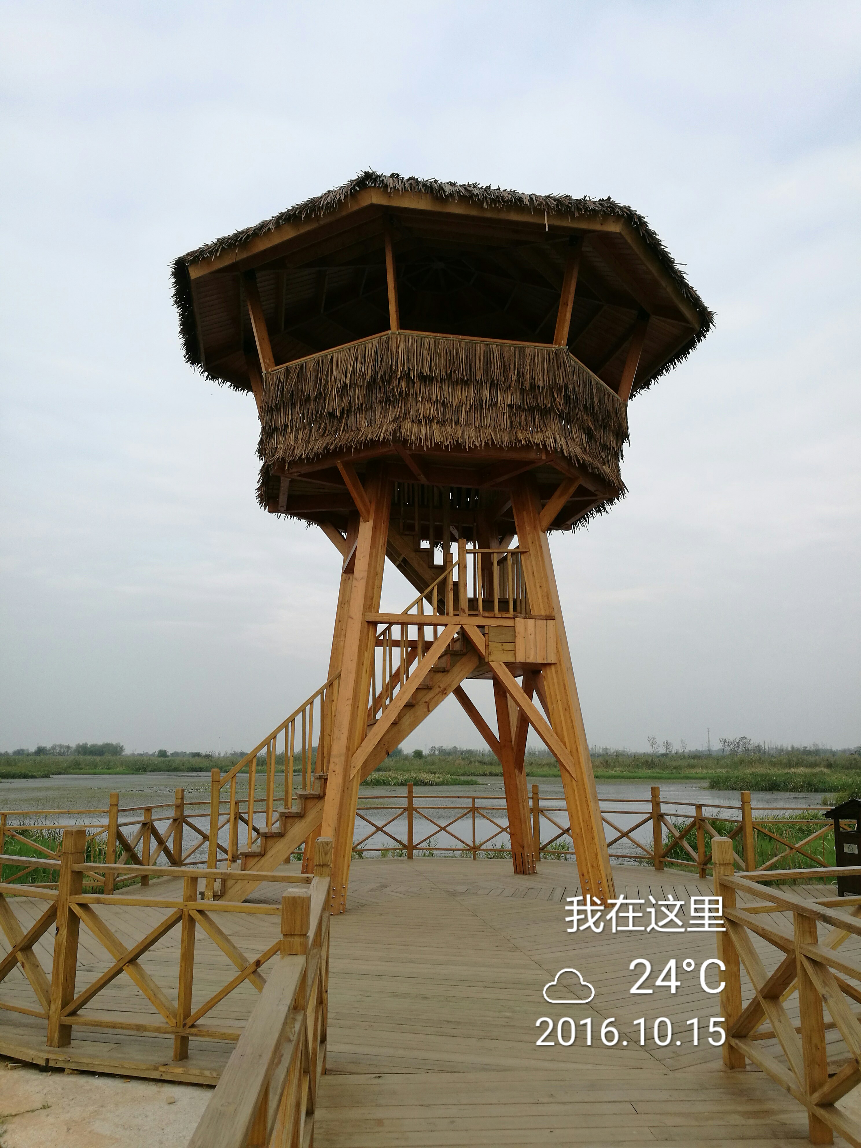第三摔 - 泊山客 - 欢欢家庭博客