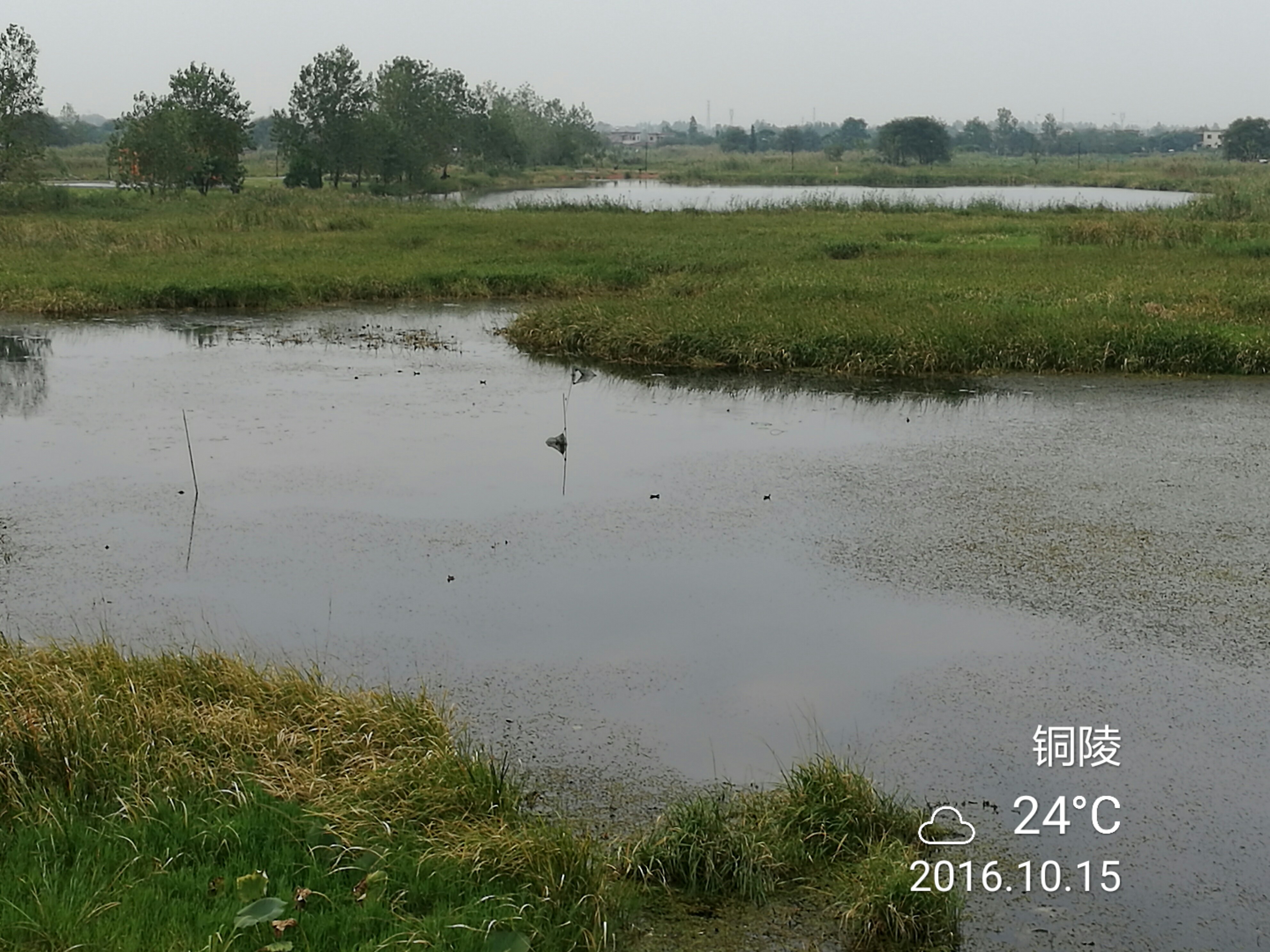第三摔 - 泊山客 - 欢欢家庭博客