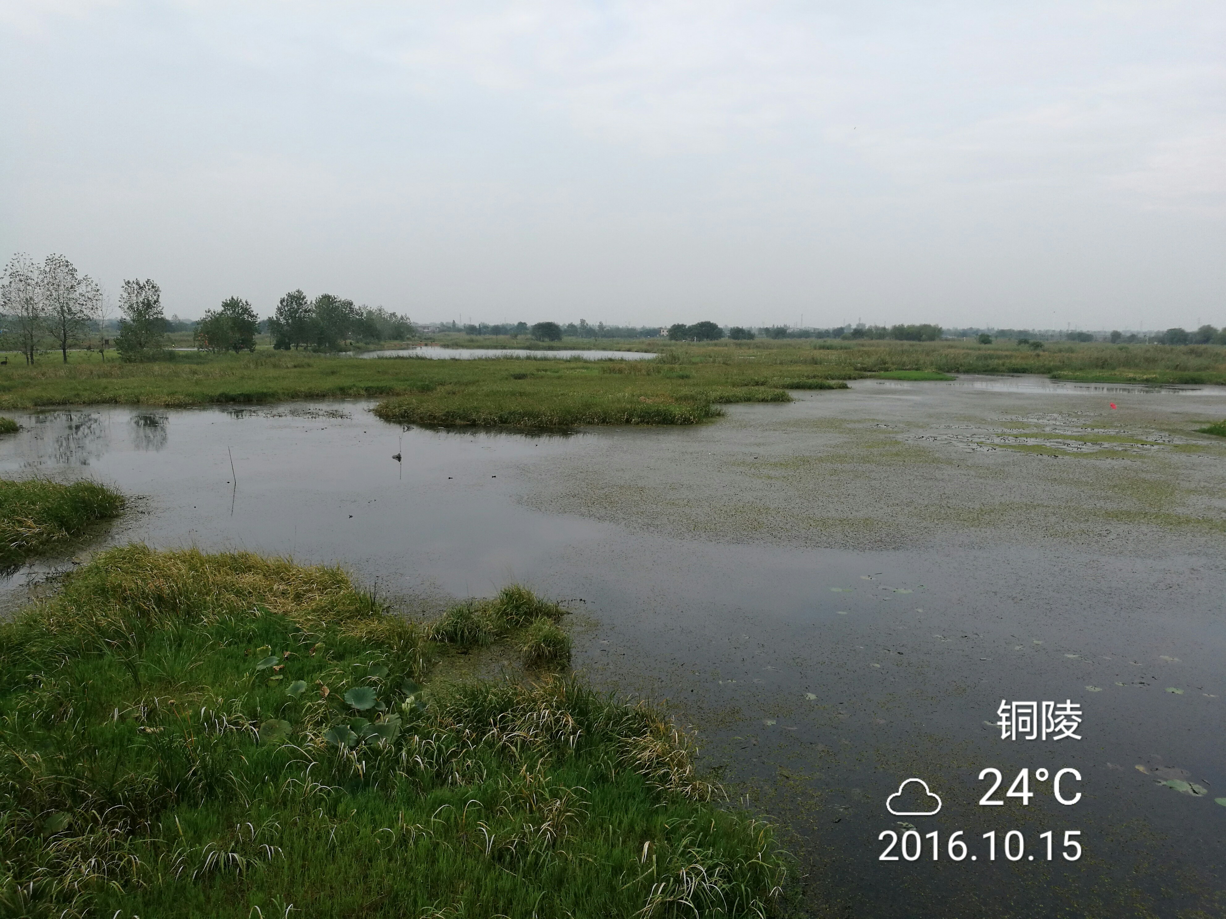 第三摔 - 泊山客 - 欢欢家庭博客