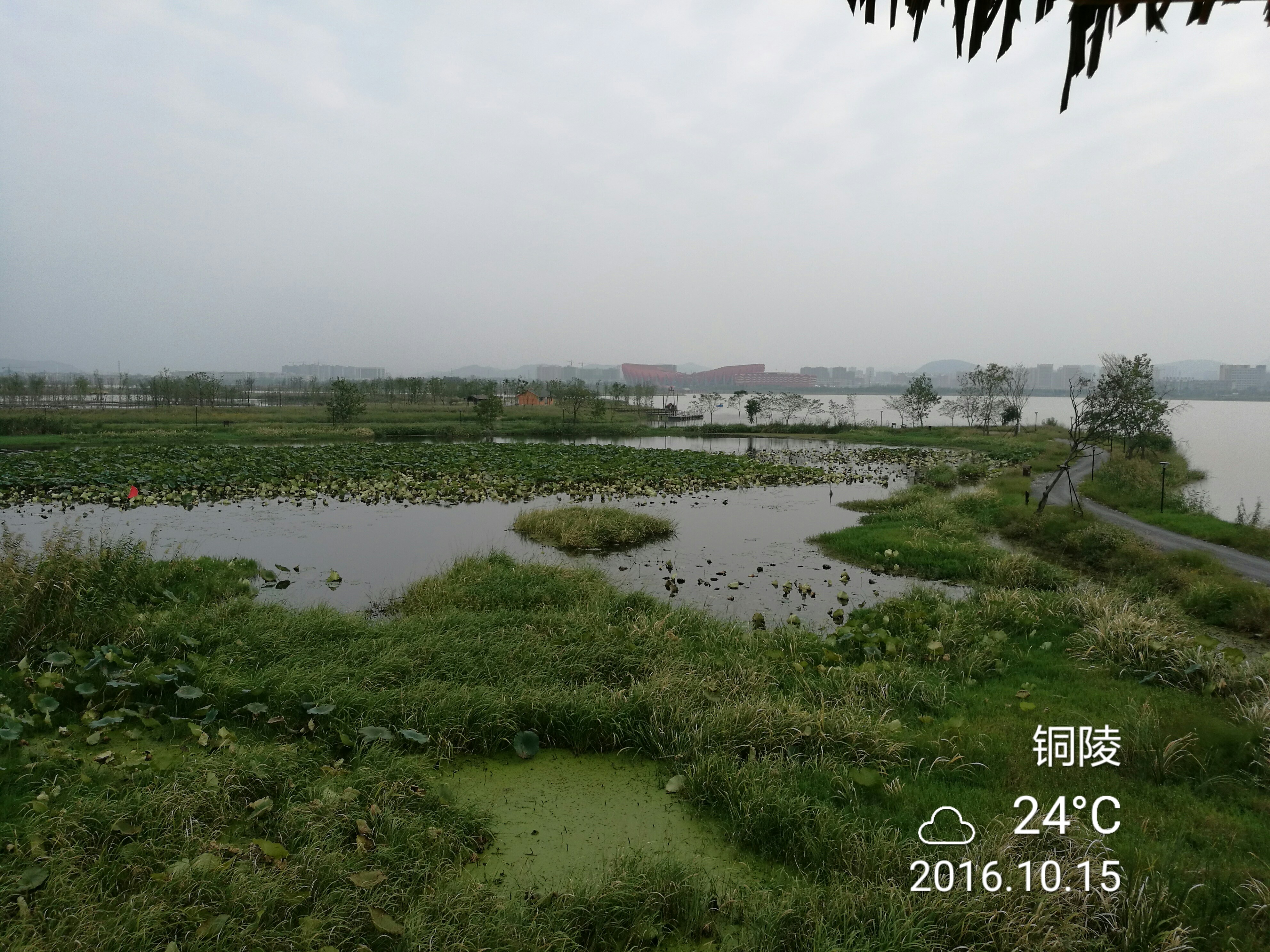 第三摔 - 泊山客 - 欢欢家庭博客
