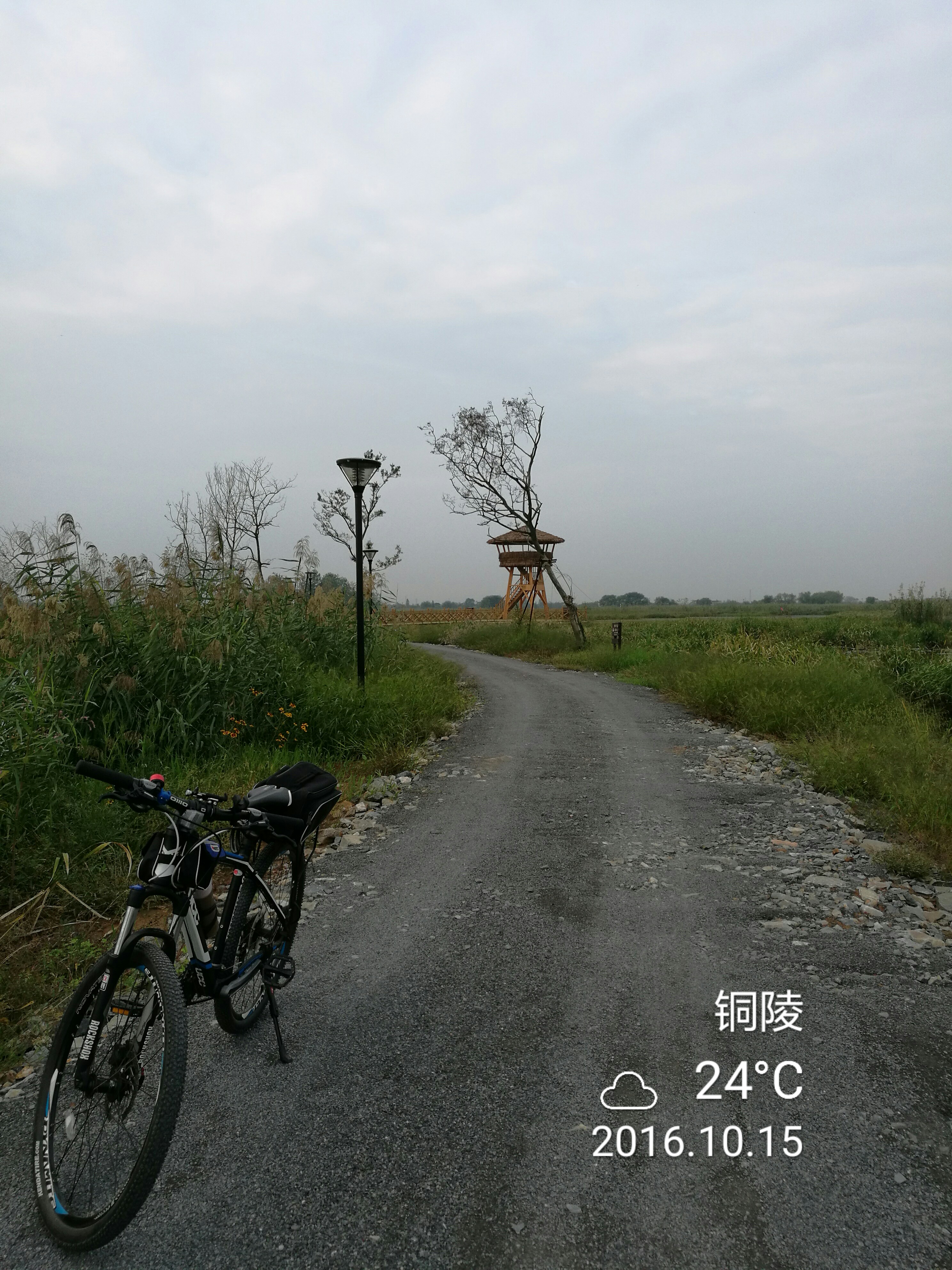 第三摔 - 泊山客 - 欢欢家庭博客