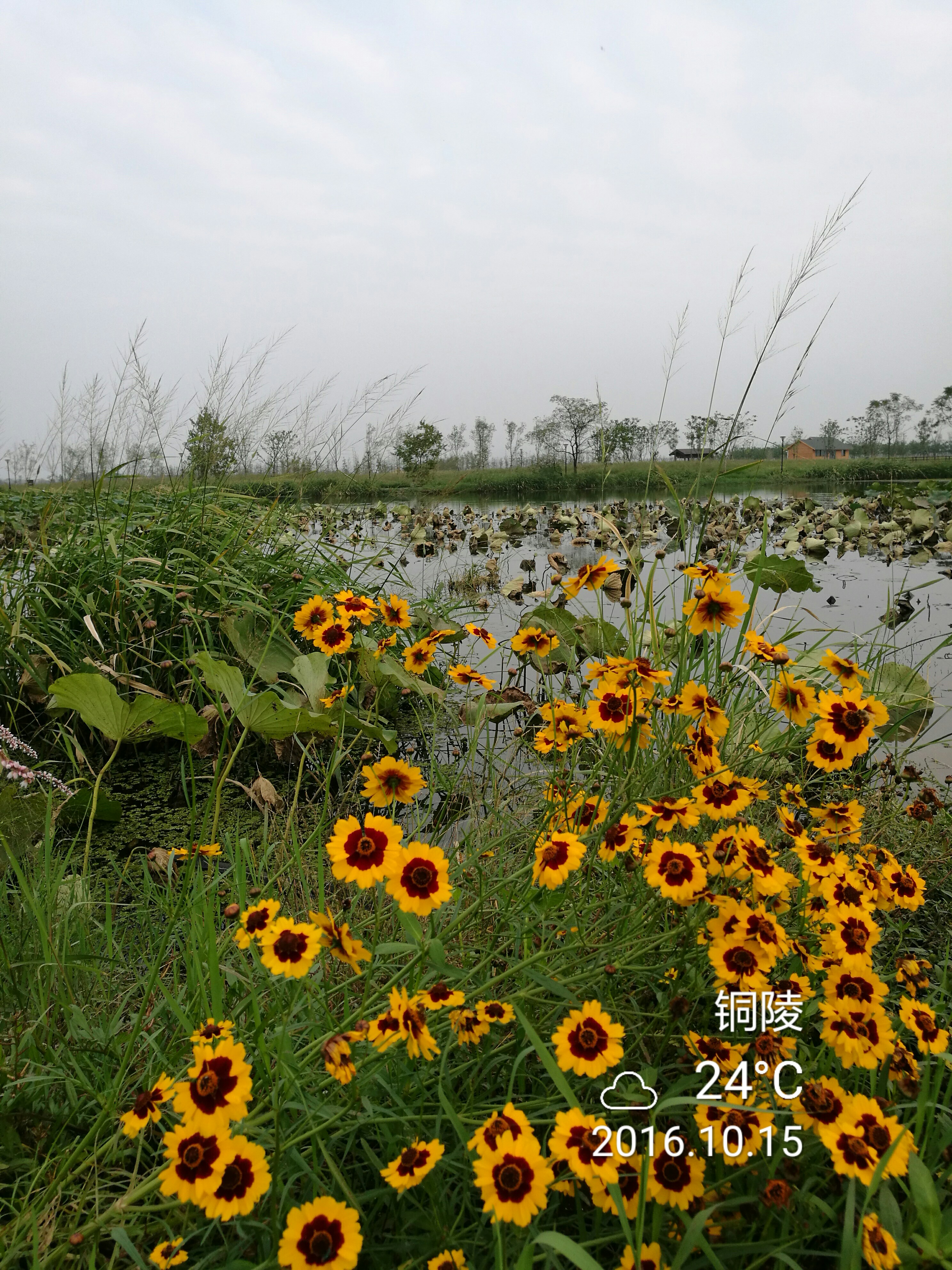 第三摔 - 泊山客 - 欢欢家庭博客