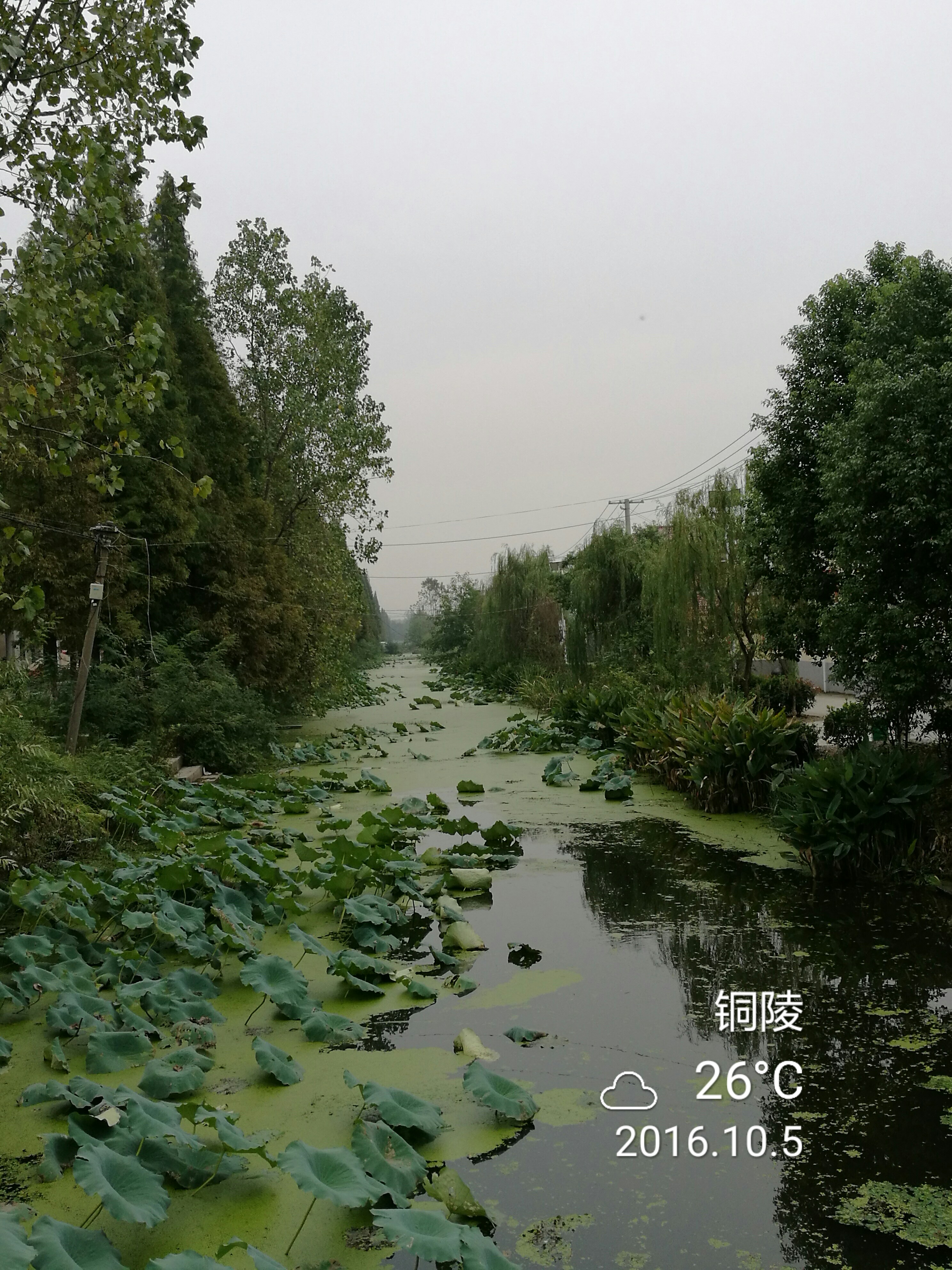 梨桥骑行 - 泊山客 - 欢欢家庭博客