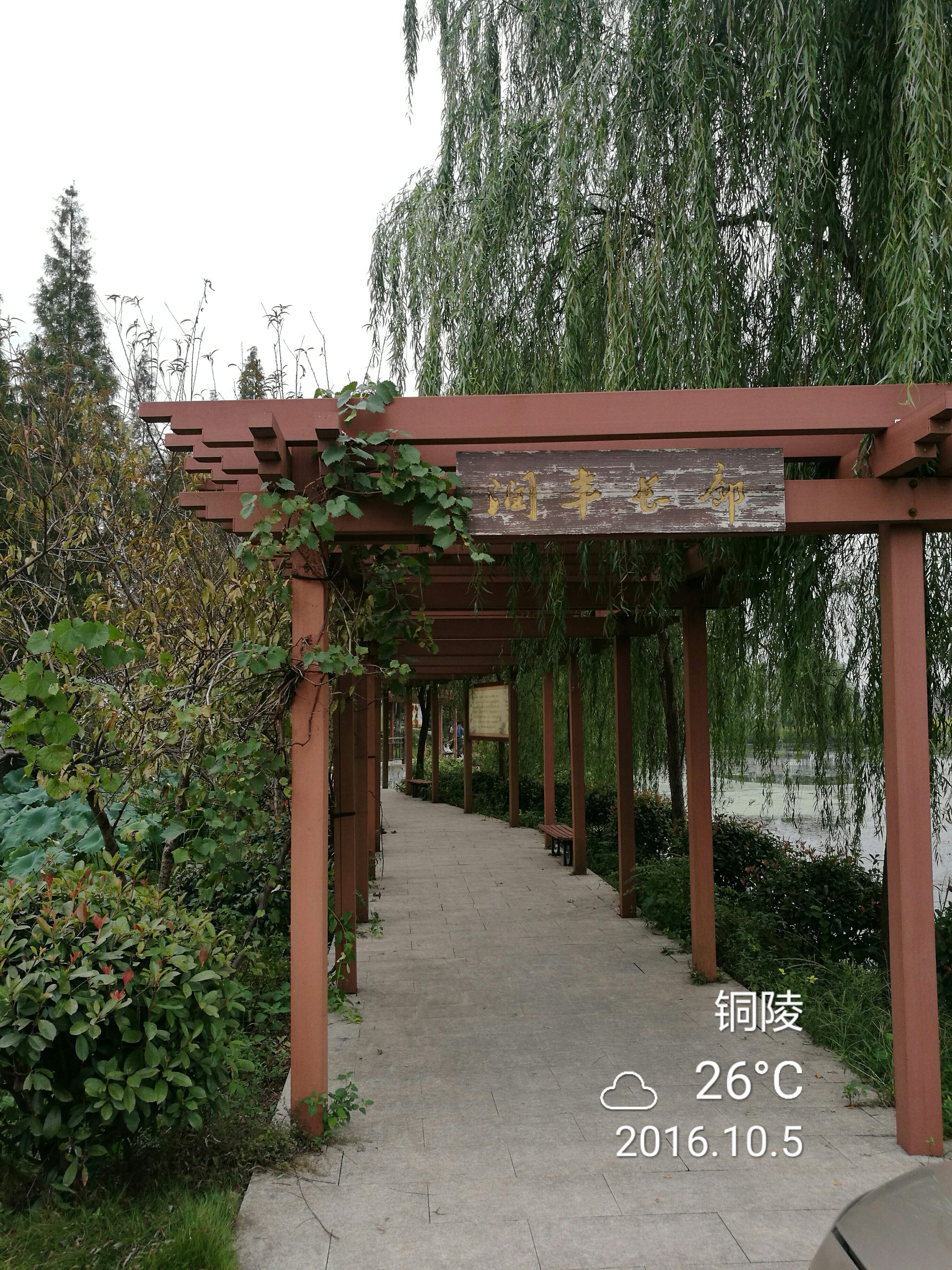 梨桥骑行 - 泊山客 - 欢欢家庭博客