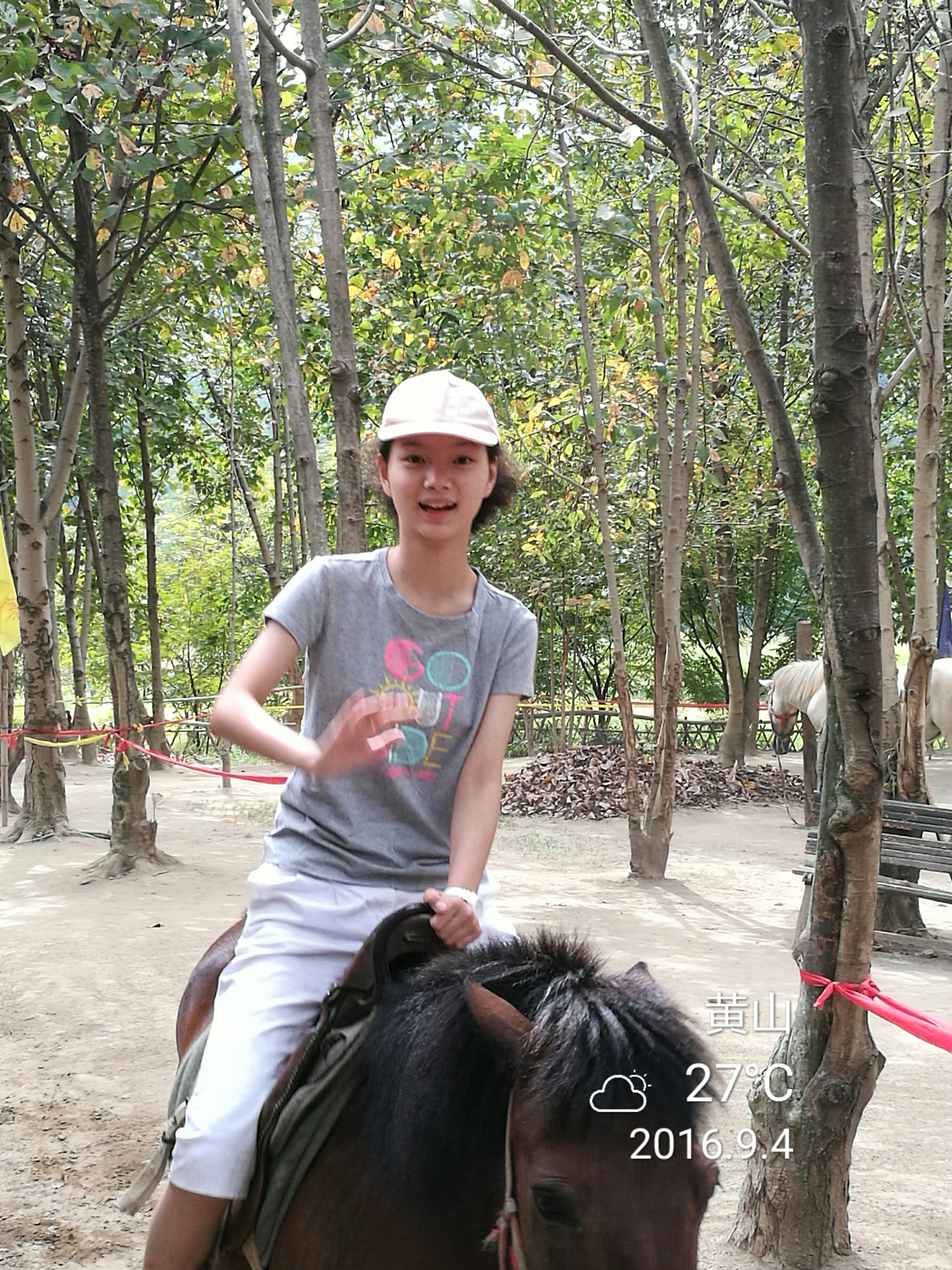 杨家寨 - 泊山客 - 欢欢家庭博客