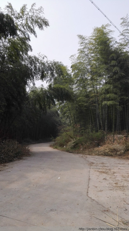 登叶山 - 泊山客 - 欢欢家庭博客