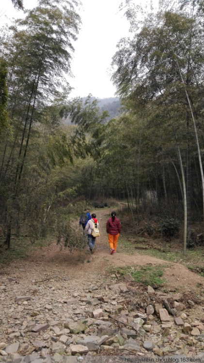 这山望着那山高---登天门山顶峰 - 泊山客 - 欢欢家庭博客