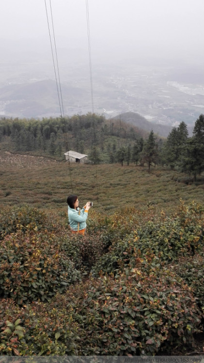 这山望着那山高---登天门山顶峰 - 泊山客 - 欢欢家庭博客