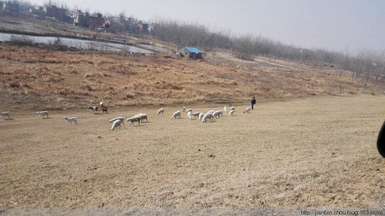 年初一,无为--铜陵 - 泊山客 - 欢欢家庭博客