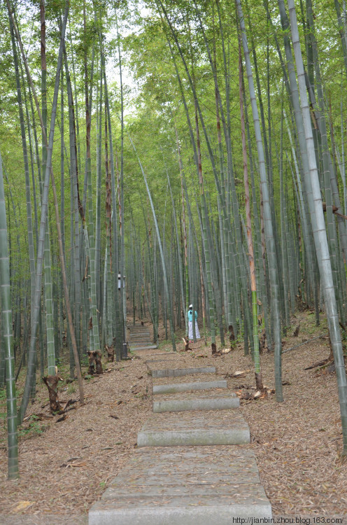 平天湖 - 泊山客 - 欢欢家庭博客