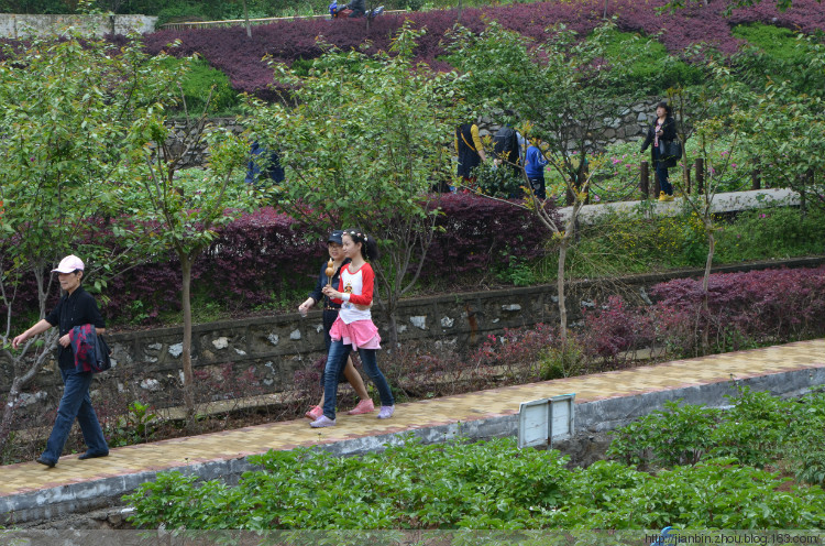 再游凤凰山 - 泊山客 - 欢欢家庭博客