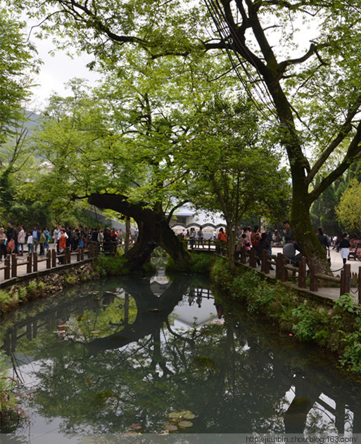 再游凤凰山 - 泊山客 - 欢欢家庭博客