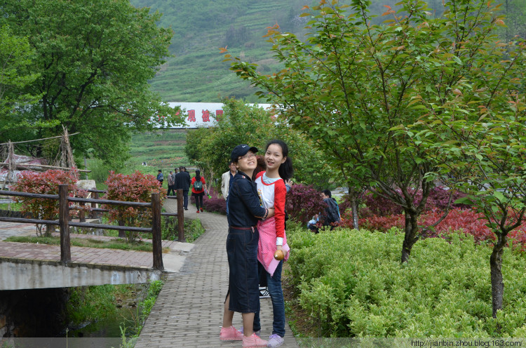 再游凤凰山 - 泊山客 - 欢欢家庭博客