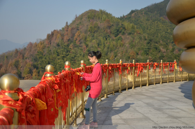 大願文化园 - 泊山客 - 欢欢家庭博客