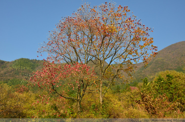 黄山塔川 - 顺其自然 - 欢欢家庭博客 黄山塔川 - 顺其自然 - 欢欢家庭博客
