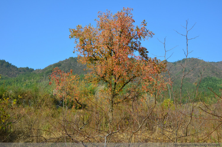 黄山塔川 - 顺其自然 - 欢欢家庭博客 黄山塔川 - 顺其自然 - 欢欢家庭博客