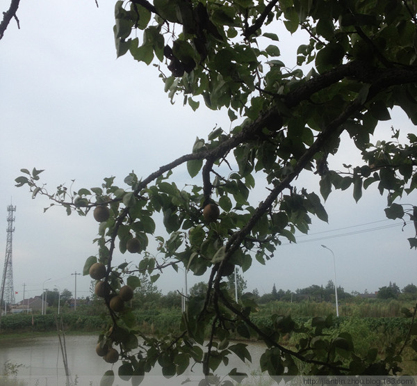 无为 - 顺其自然 - 欢欢家庭博客 无为 - 顺其自然 - 欢欢家庭博客