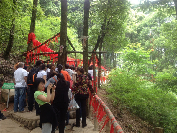 黄山芙蓉谷 - 顺其自然 - 欢欢家庭博客 黄山芙蓉谷 - 顺其自然 - 欢欢家庭博客