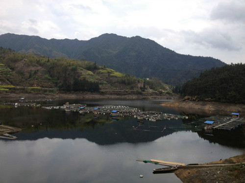 永康 - 顺其自然 - 欢欢家庭博客 永康 - 顺其自然 - 欢欢家庭博客