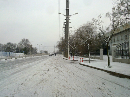瑞雪迎龙年 - 顺其自然 - 欢欢家庭博客 瑞雪迎龙年 - 顺其自然 - 欢欢家庭博客
