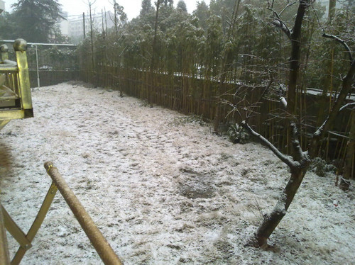 瑞雪迎龙年 - 顺其自然 - 欢欢家庭博客 瑞雪迎龙年 - 顺其自然 - 欢欢家庭博客